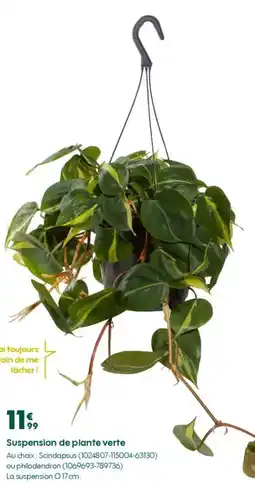 Truffaut Suspension de plante verte offre