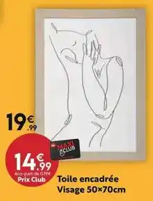 Maxi Bazar Toile encadrée visage offre