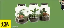 Carrefour Terarium offre