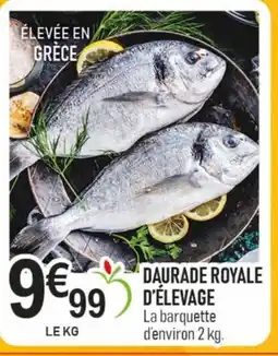 marché frais Géant Daurade royale d'élevage offre
