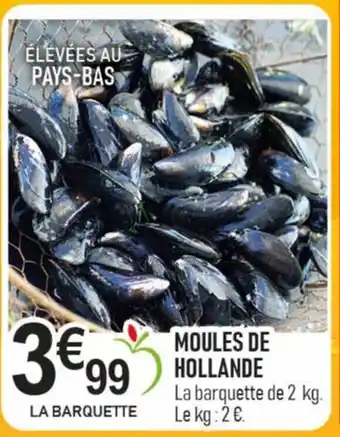 marché frais Géant Moules de hollande offre