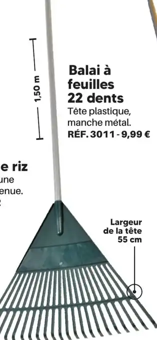 Shopix Balai à feuilles 22 dents offre
