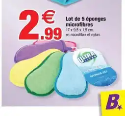 Bazarland Lot de 5 éponges microfibres offre