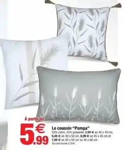 Bazarland Le coussin Pampa offre
