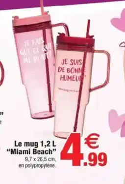 Bazarland Le mug Miami Beach offre