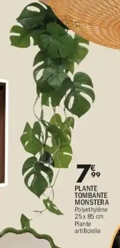 La Foir'Fouille Plante tombante monstera offre