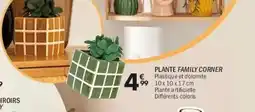 La Foir'Fouille Plante family corner offre