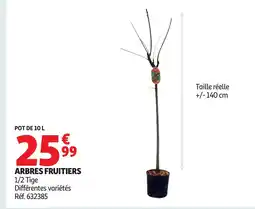 Auchan Arbres fruitiers offre