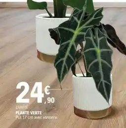 E.Leclerc Plante verte offre