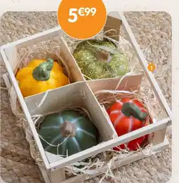 b&m Cagette citrouilles offre