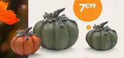 b&m Citrouille offre