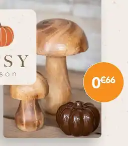 b&m Cosy season offre