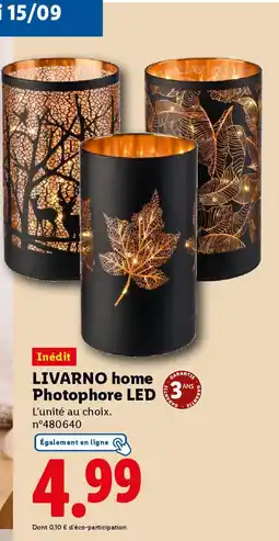 Lidl LIVARNO HOME Photophore LED offre