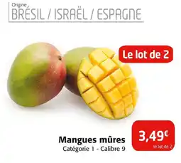 Colruyt Mangues mûres offre