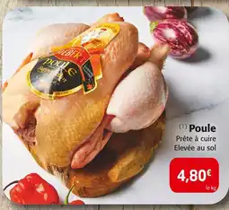Colruyt Bruno Siebert Poule offre