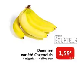 Colruyt Bananes variété Cavendish offre