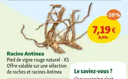 Maxi Zoo Racine Antinea offre