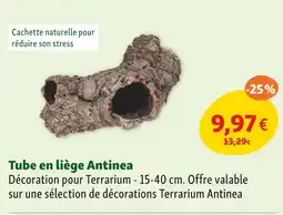 Maxi Zoo Antinea Tube en liège offre