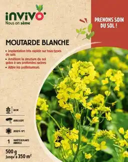 Gamm vert INVIVO Nous on sème Graines moutarde blanche INVIVO Nous on sème offre