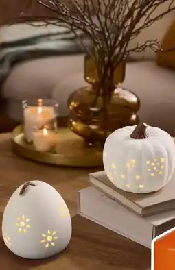 Lidl LIVARNO HOME Lampe décorative à LED offre