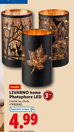 Lidl LIVARNO Photophore led offre