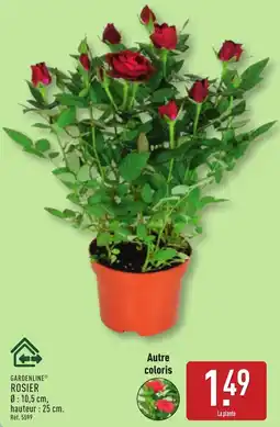 ALDI GARDENLINE Rosier offre