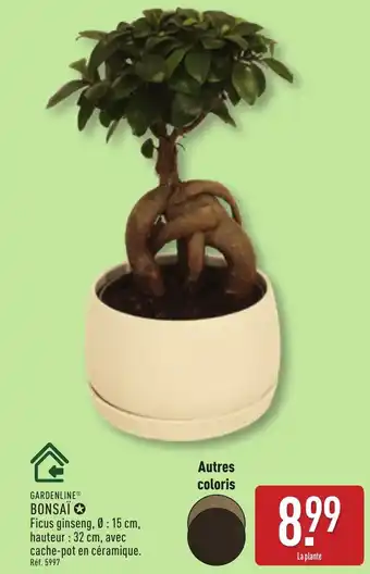 ALDI GARDENLINE Bonsaï offre