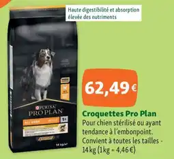 Maxi Zoo Croquettes Pro Plan offre