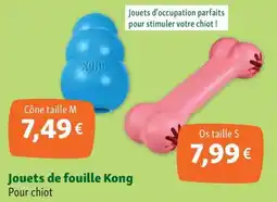 Maxi Zoo Jouets de fouille Kong offre
