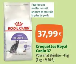 Maxi Zoo ROYAL CANIN Croquettes 37 offre