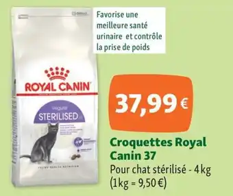 Maxi Zoo ROYAL CANIN Croquettes 37 offre