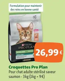 Maxi Zoo Croquettes Pro Plan offre
