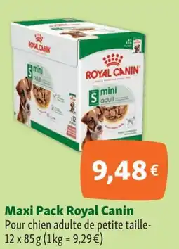 Maxi Zoo ROYAL CANIN Maxi Pack offre