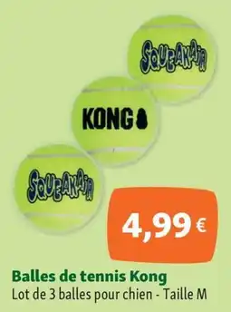 Maxi Zoo Balles de tennis Kong offre