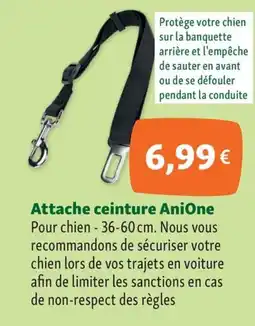 Maxi Zoo Attache ceinture Anione offre