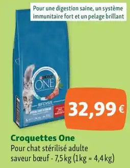 Maxi Zoo Croquettes One offre