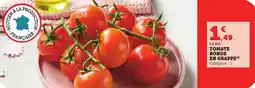 Bi1 Tomate ronde en grappe offre