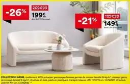 BUT Collection arum offre