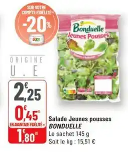 G20 Salade jeunes pousses bonduelle offre