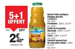 Promocash CARAIBOS Nectar fruits exotiques Planteur des îles offre