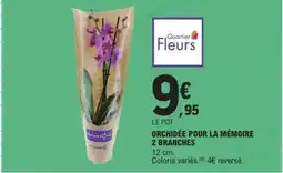 E.Leclerc Express Orchidée pour la mémoire 2 branches offre