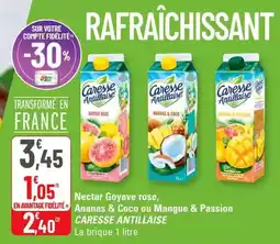 G20 Caresse antillaise - nectar goyave rose, ananas & coco ou mangue & passion offre