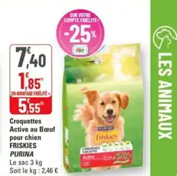 G20 Croquettes active au bœuf pour chien friskies purina offre