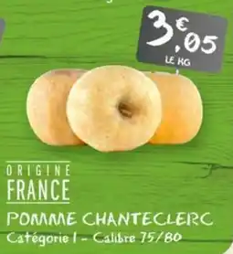 G20 Pomme chanteclerc offre