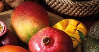 Lidl Mangue offre