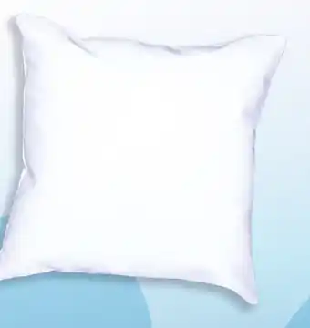 Lidl Oreiller DODO divine moelleux offre