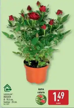 ALDI Rosier offre