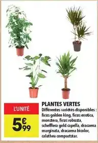 Supeco King - plantes vertes offre