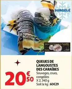 Batkor Couronne tube multicouche offre