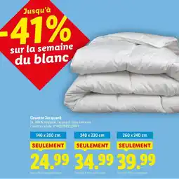 Espace emeraude Électrificateur batterie 4j offre